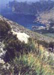cala es marmols