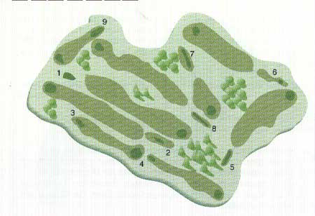 Son Parc Golf Course